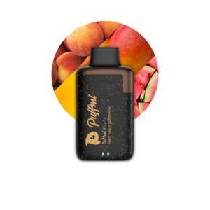 PUFFMI DUMESH 12000